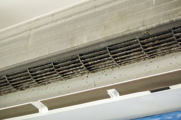 Best HVAC Air Duct Cleaning  in Cao, ND