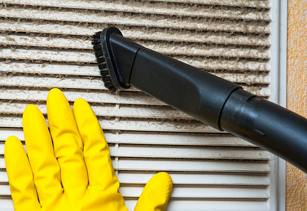 Best Affordable Duct Cleaning Services  in Cao, ND